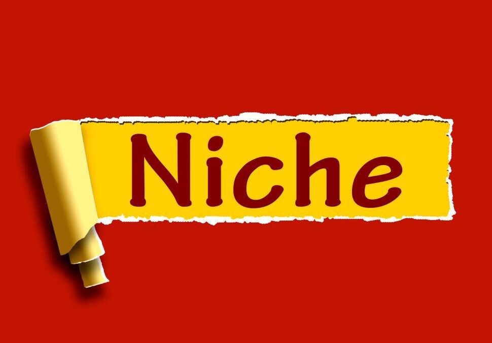 How to find a virtual assistant niche and choose services